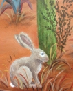 Desert rabbit