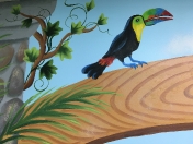 Zoo toucan