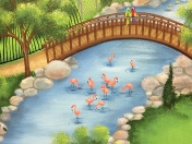 Zoo flamingos