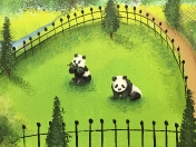 Zoo pandas