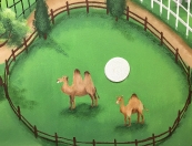 Zoo camels