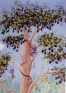 jungle-tree