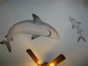 Ocean shark ceiling