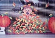 Windows -boy-in-leaves